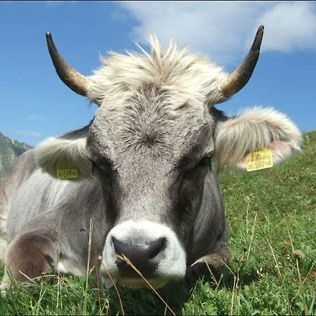 Haus Maria דירה *