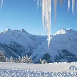 Haus Maria Bach (Tyrol)